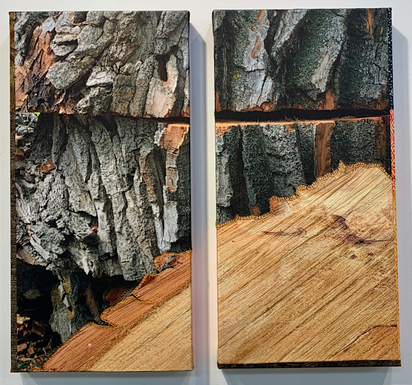 Stump by Kathy Mitchell-Garton, Image 1.