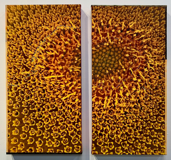 Yellow  Seeds by Kathy Mitchell-Garton, Image 1.