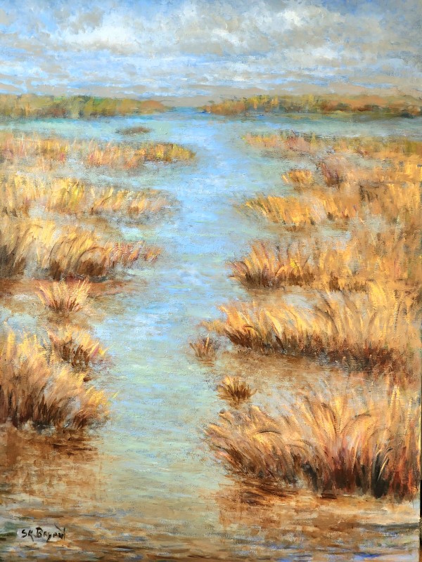 Marsh Aglow by Susan Bryant
