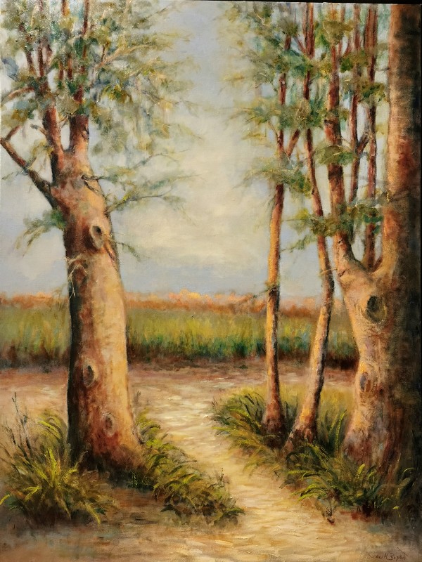 Trees at Caw Caw by Susan Bryant