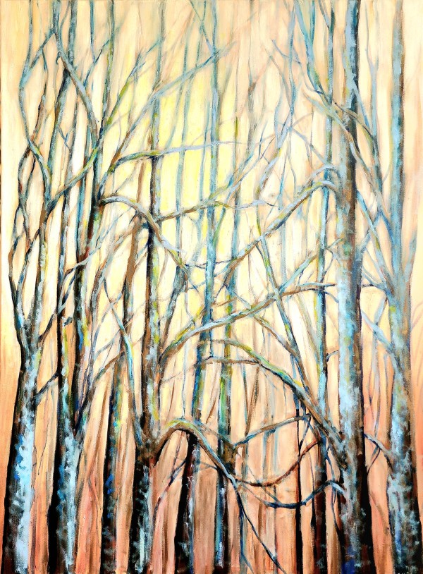 Forest Glow by Susan Bryant