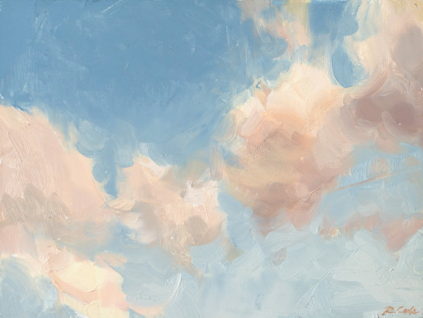 Blue Skies by Robin Cole