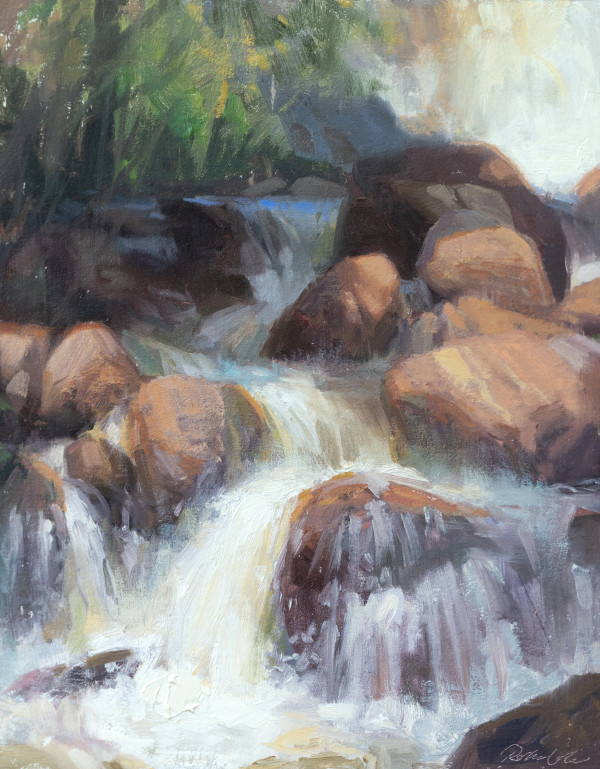Eldorado Canyon Falls by Robin Cole