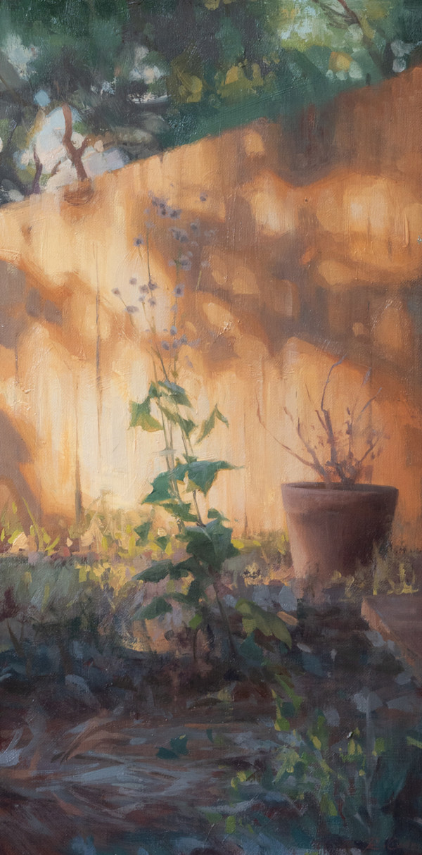 Forgotten Corner in Sonoma by Robin Cole