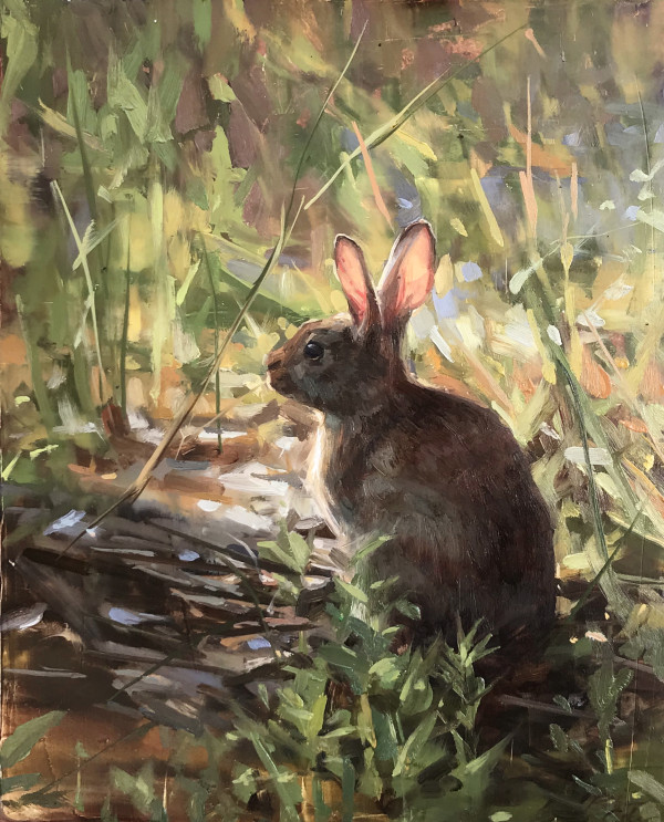 Rabbit by Robin Cole