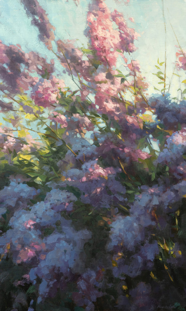 The Verge by Robin Cole, Image 1.