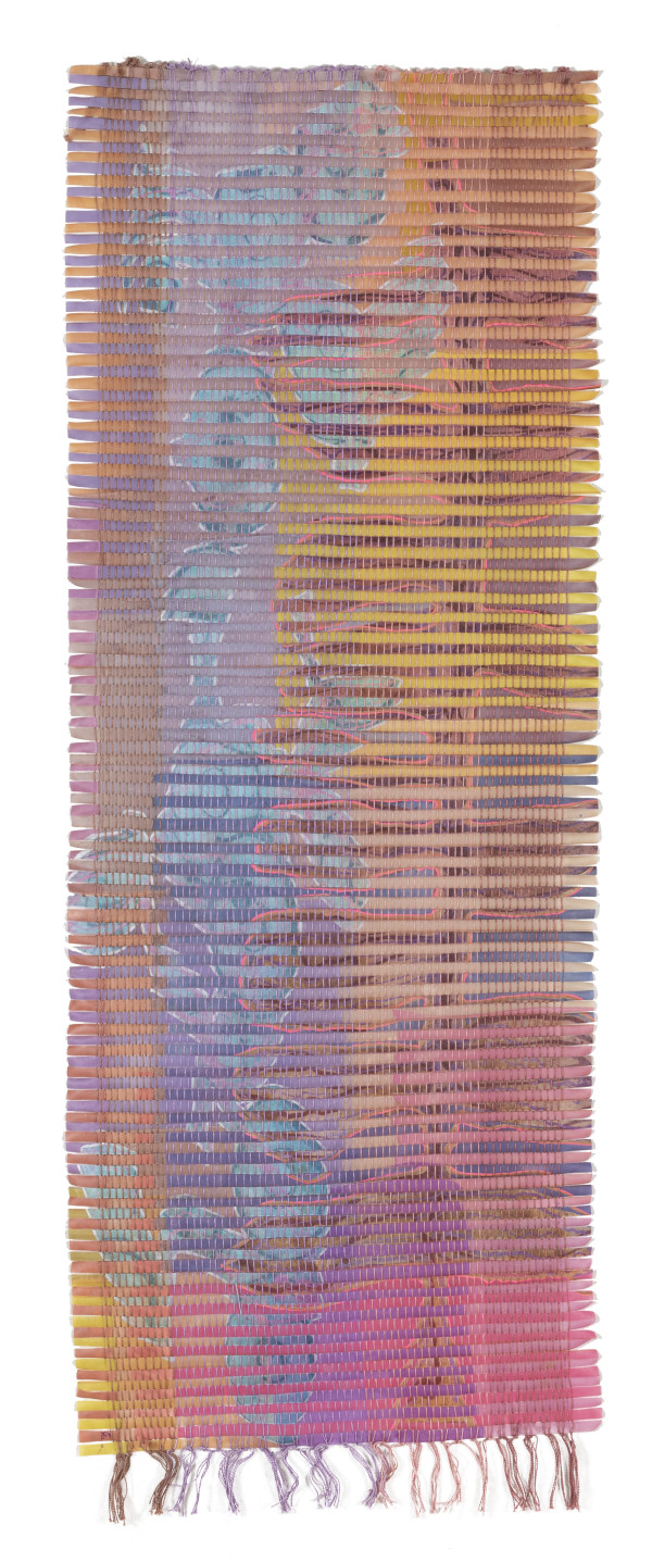 Abstract Tapestry 1 by Hollie Heller