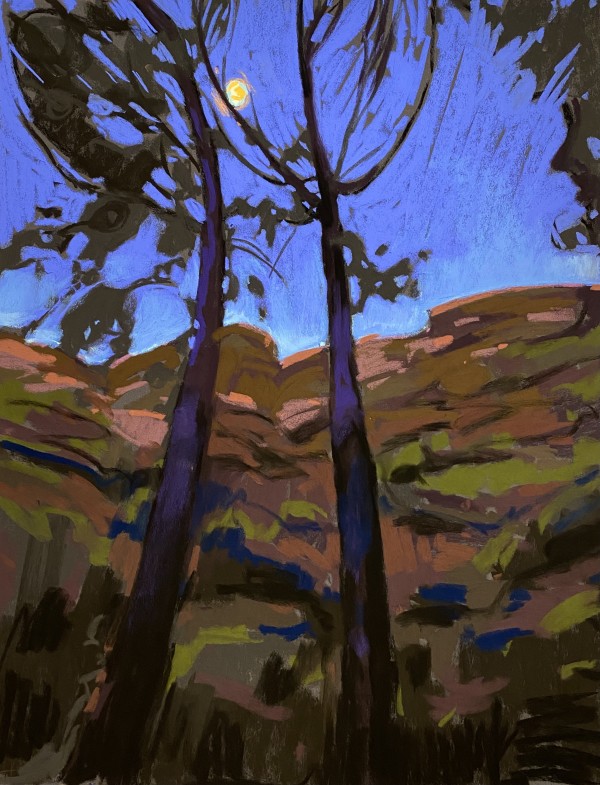 Sedona Night by Tara Will, Image 1.