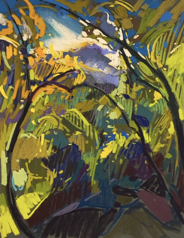 Rising Aspens by Tara Will, Image 1.