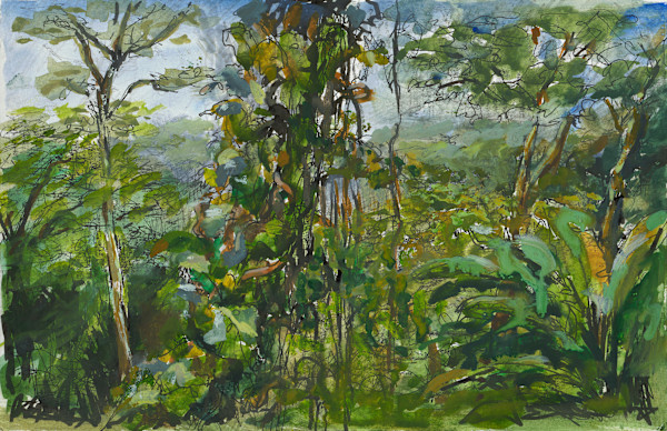 Symphony of the Jungle by Jessica Falcone