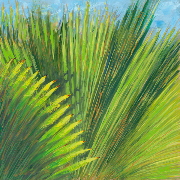Tropical Fan by Jessica Falcone, Image 1.