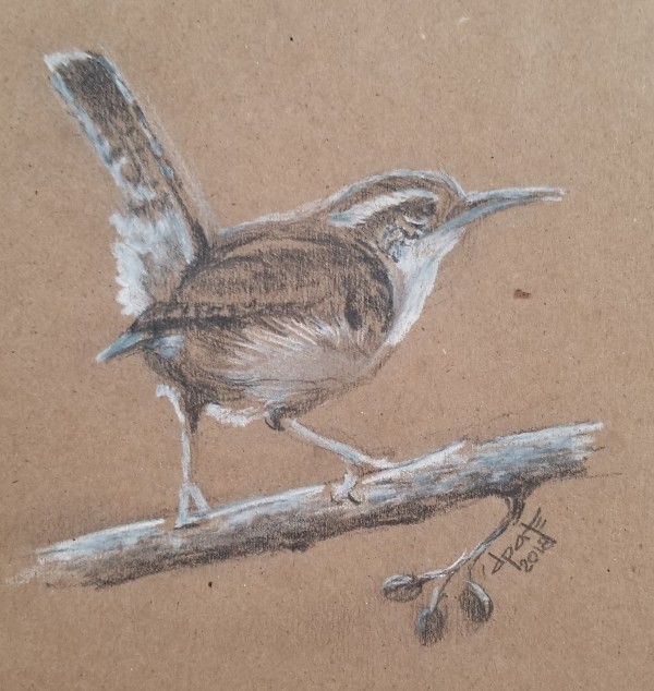 Wren by Donna Pate