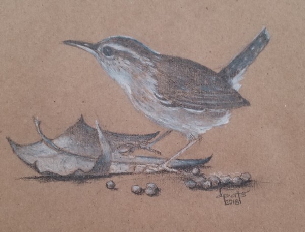 Wren 2 by Donna Pate