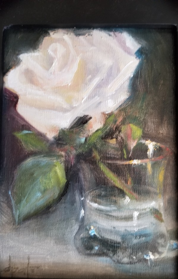 White Rose by Donna Pate