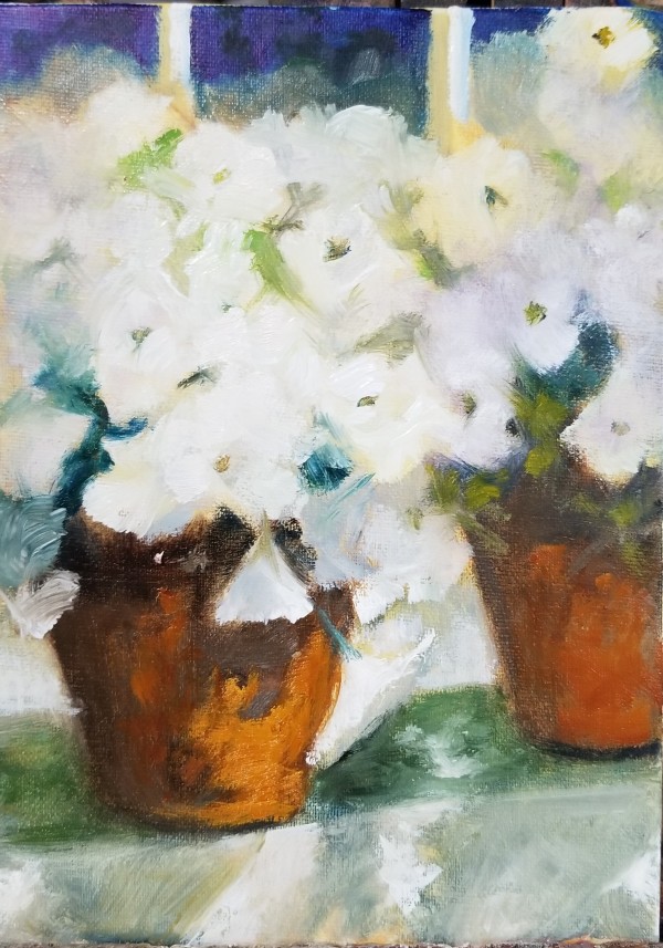 White Petunias by Donna Pate