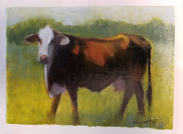 Moo by Donna Pate