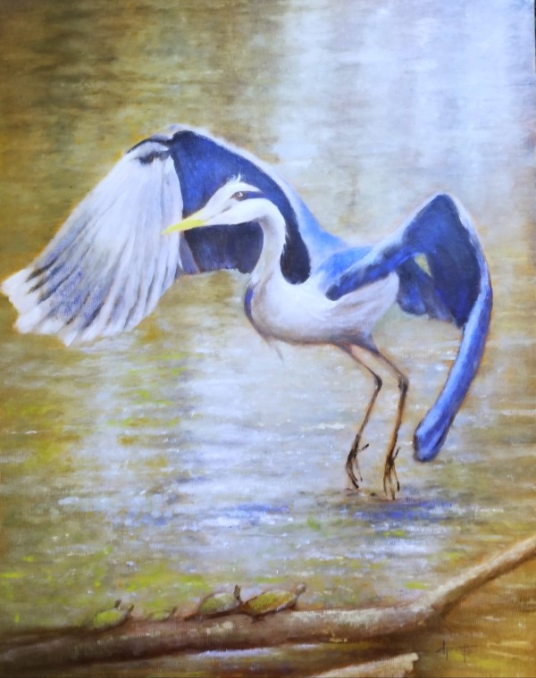 Blue Heron by Donna Pate