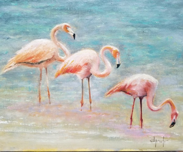 Flamingos by Donna Pate