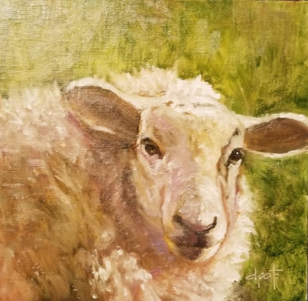 Sheep by Donna Pate