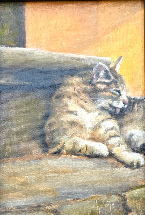 Sunning by Donna Pate