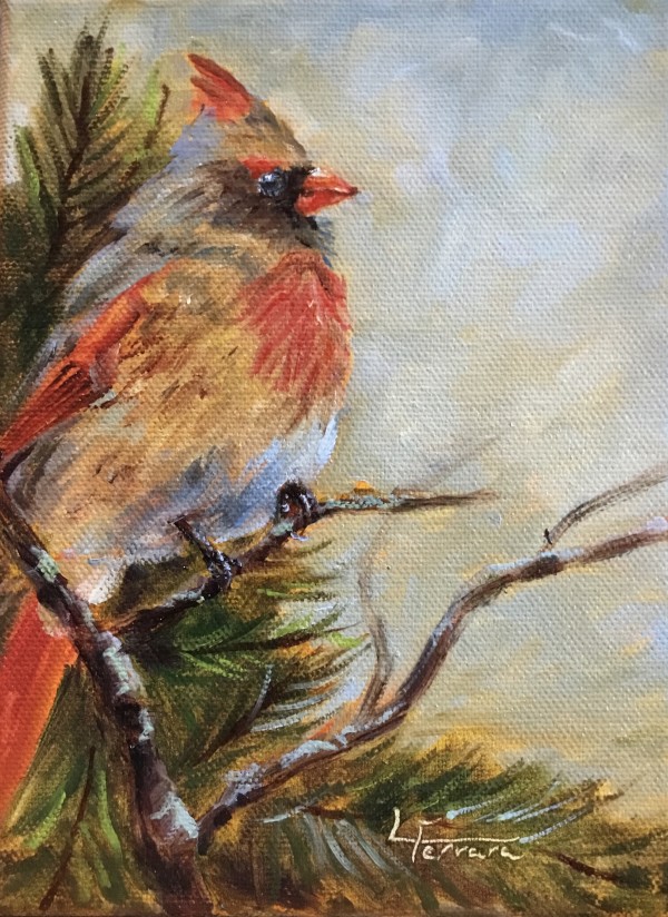 Cardinal Pines (female) by Lina Ferrara
