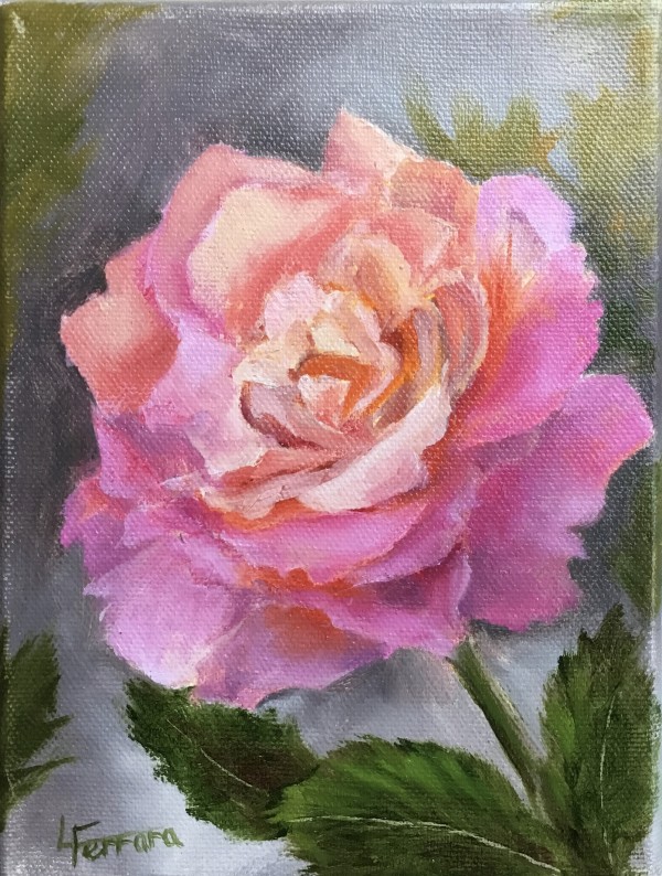 Pink Rose by Lina Ferrara