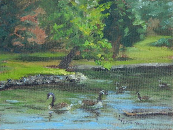 Canada Geese at Children's Lake by Lina Ferrara