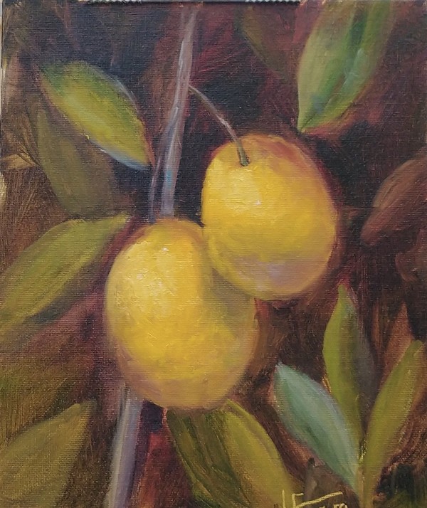 Mansion Lemons by Lina Ferrara