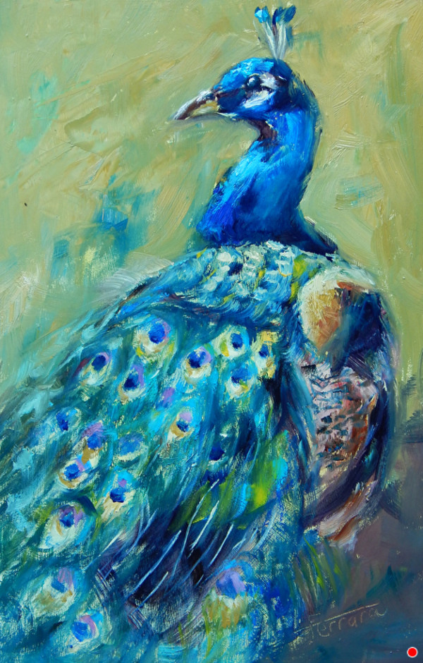 Pretty Peacock by Lina Ferrara