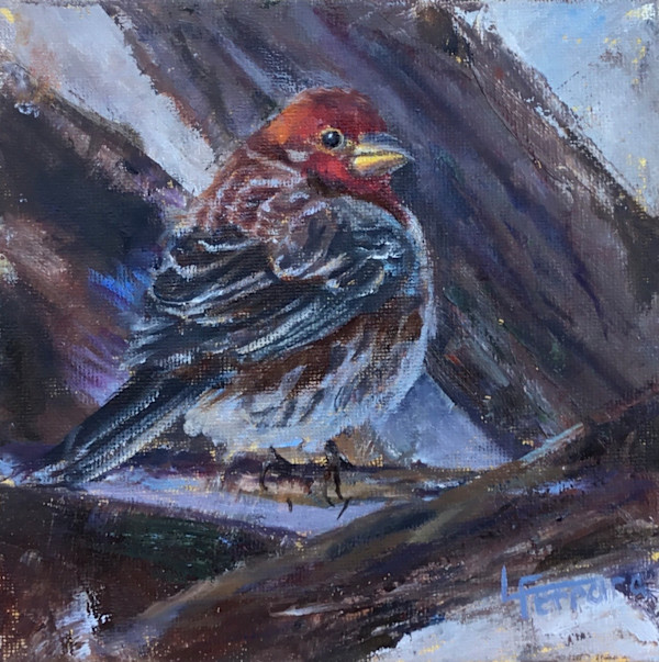 House Finch by Lina Ferrara