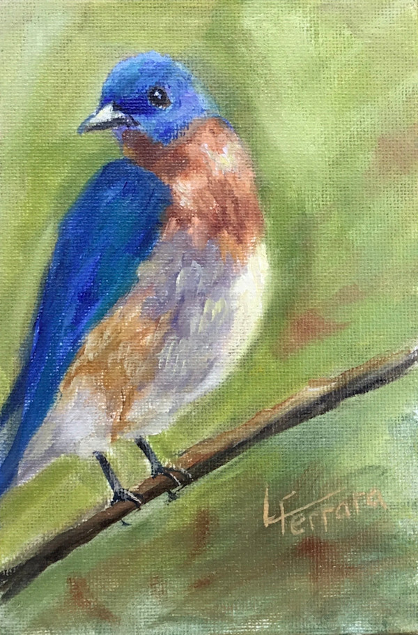 Bluebird by Lina Ferrara