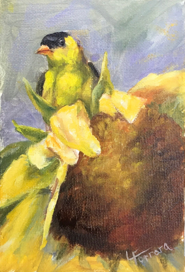 Goldfinch and Sunflower by Lina Ferrara