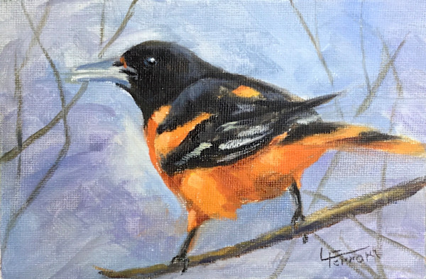 Baltimore Oriole by Lina Ferrara, Image 3.
