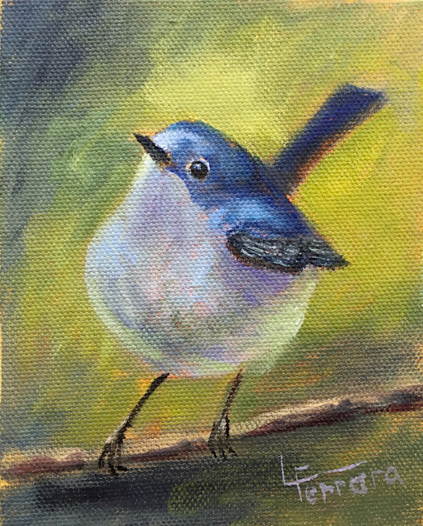 Gnatcatcher by Lina Ferrara