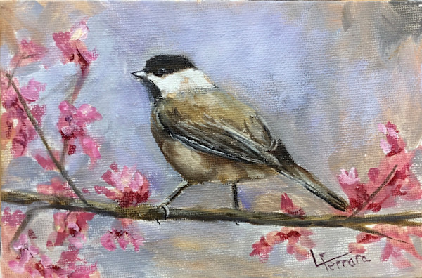 Chickadee in the Redbud Tree by Lina Ferrara
