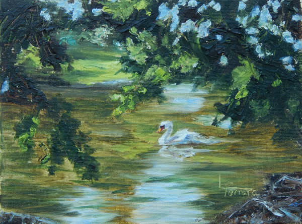 Peaceful Waters by Lina Ferrara