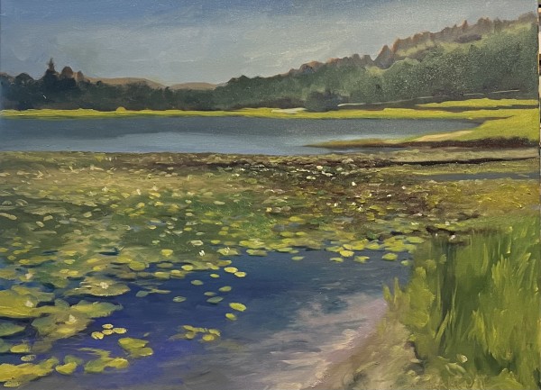Moses Cone Park (Trout Lake) by Mary Kamerer Impressionist Painting
