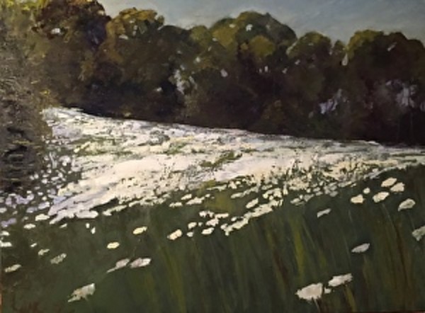 Field of Daisies by Mary Kamerer Impressionist Painting