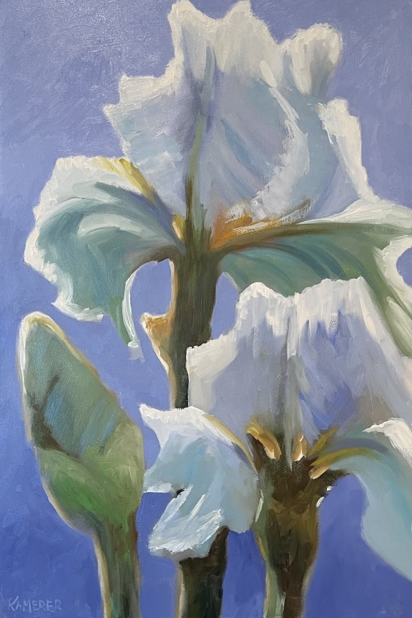 Iris Study by Mary Kamerer Impressionist Painting