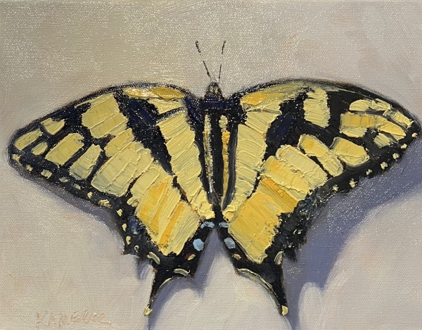 Black and Yellow Butterfly by Mary Kamerer Impressionist Painting