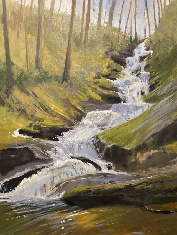 Roaring Fork Falls by Mary Kamerer Impressionist Painting