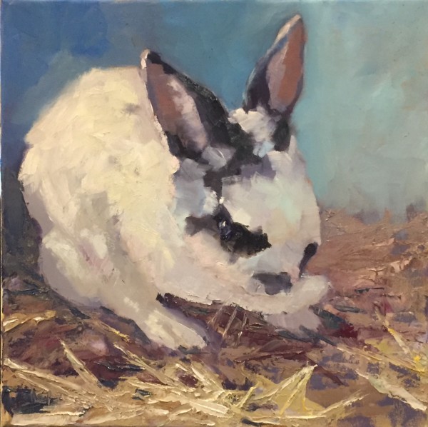 Rabbit in the Hay