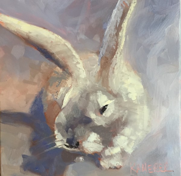 Gray, Tall-Eared Rabbit