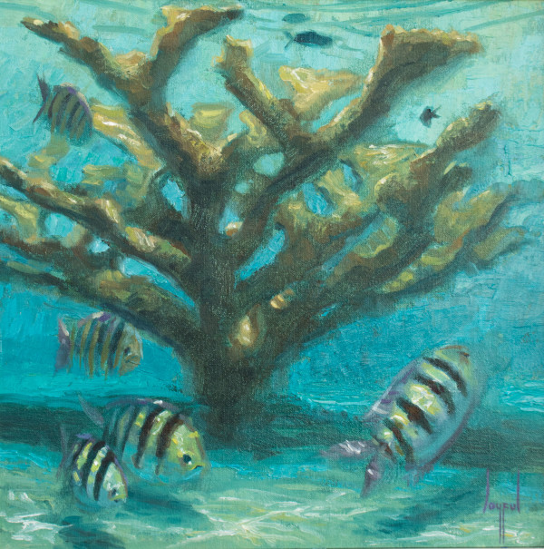 Coral Rythems by Joyful Enriquez