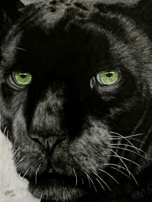 Jaguar by Wanda Fraser