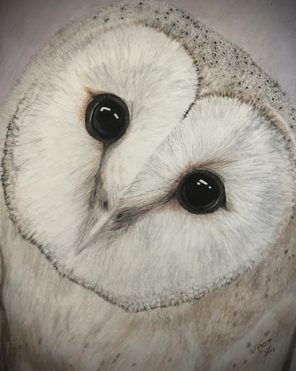 Barn Owl by Wanda Fraser