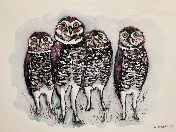 A Parliament of Burrowing Owls by Wanda Fraser