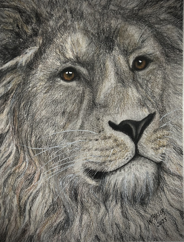 Lion 2 by Wanda Fraser