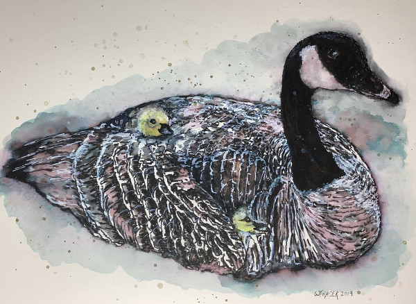 Matilda - Canada Goose Nesting - SOLD by Wanda Fraser