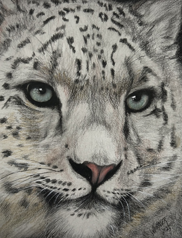 Snow Leopard by Wanda Fraser